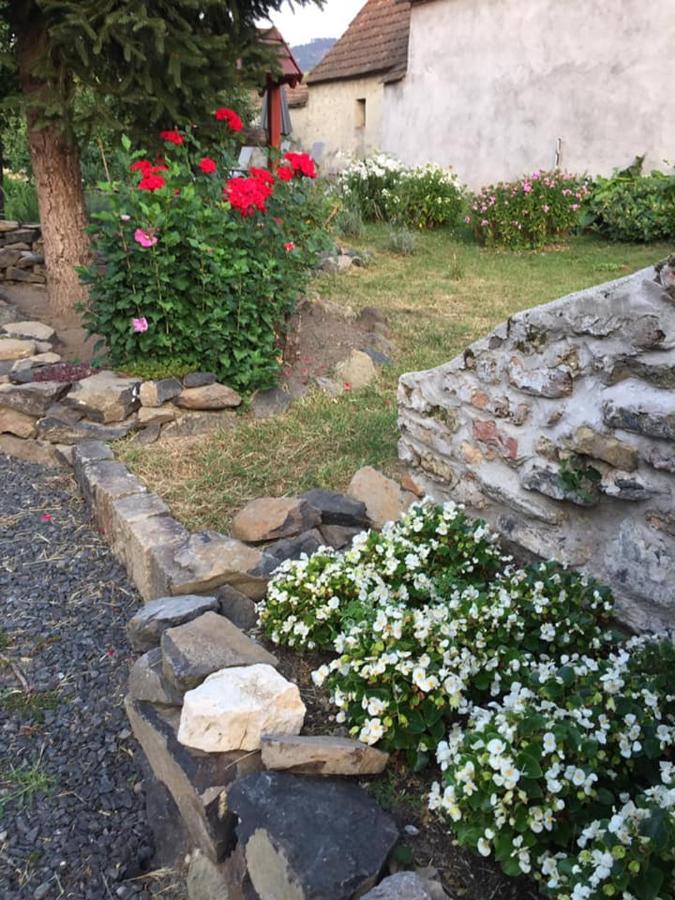 Villa Luis Golyas Haza Raposka Exterior foto