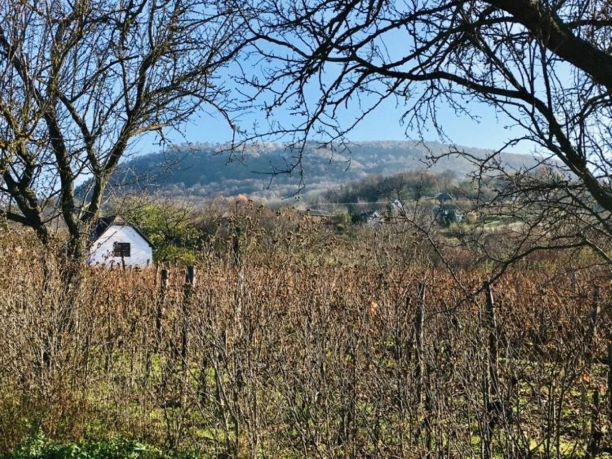 Villa Luis Golyas Haza Raposka Exterior foto